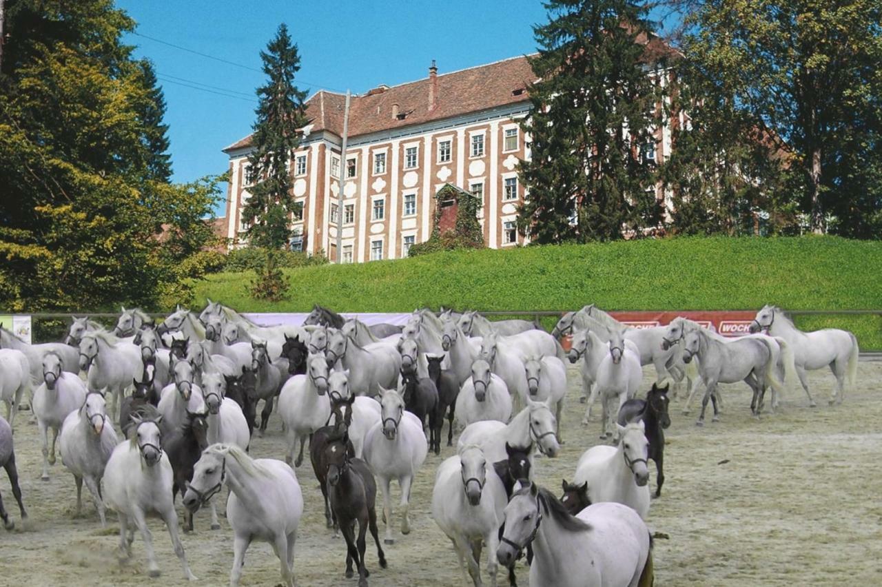 Haus Soeding Villa Soding Esterno foto